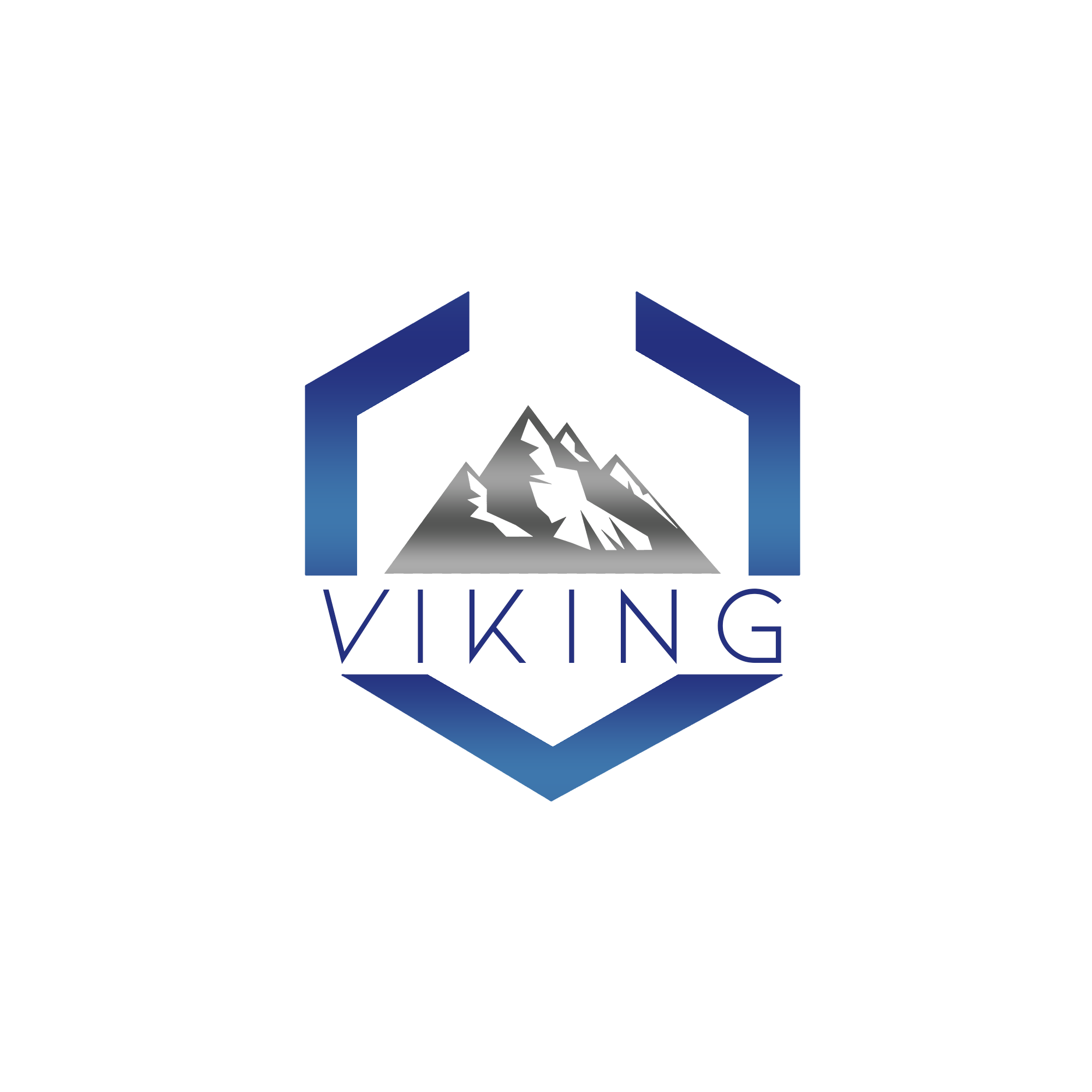 VIKING | IT and Digital Marketing Solutions Specifically Designed
